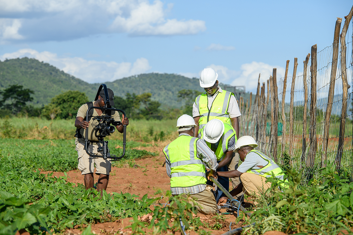 documentary | Simavi
