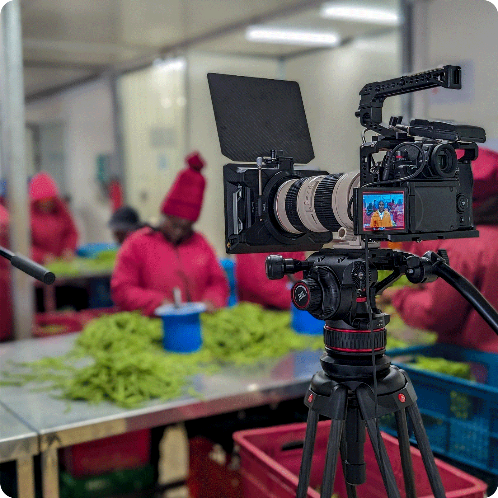 Malaika Media filming in Kenya Malaika Media Photography in Kenya, The leading photography Company in Kenya, East Africa