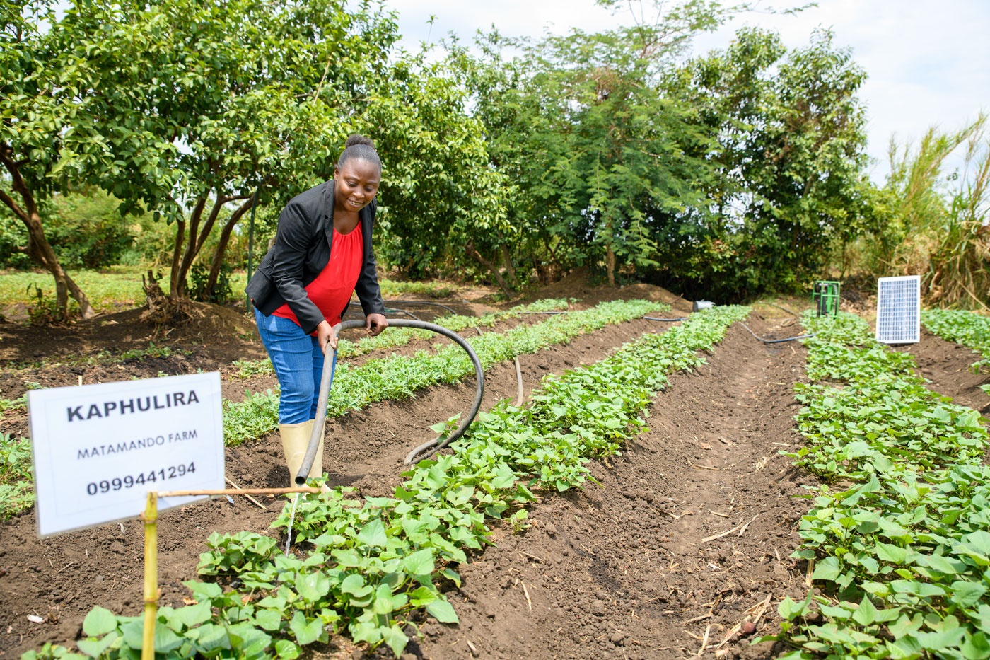 Matamando-farm-lilongwe | Malawi