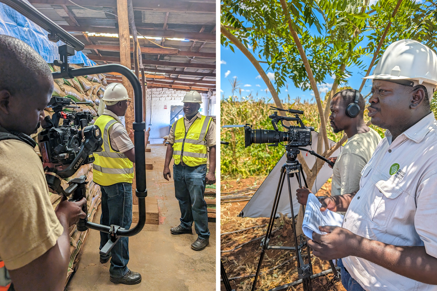 bts-good-natures1 | Simavi