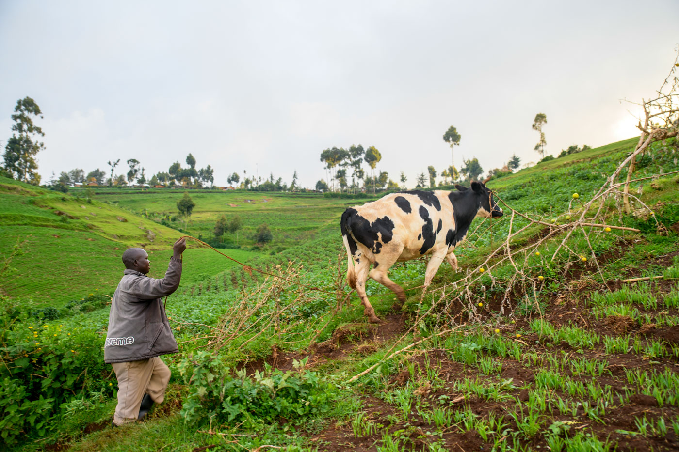 kapchorwa-farm-lands | Metropolitan Republic
