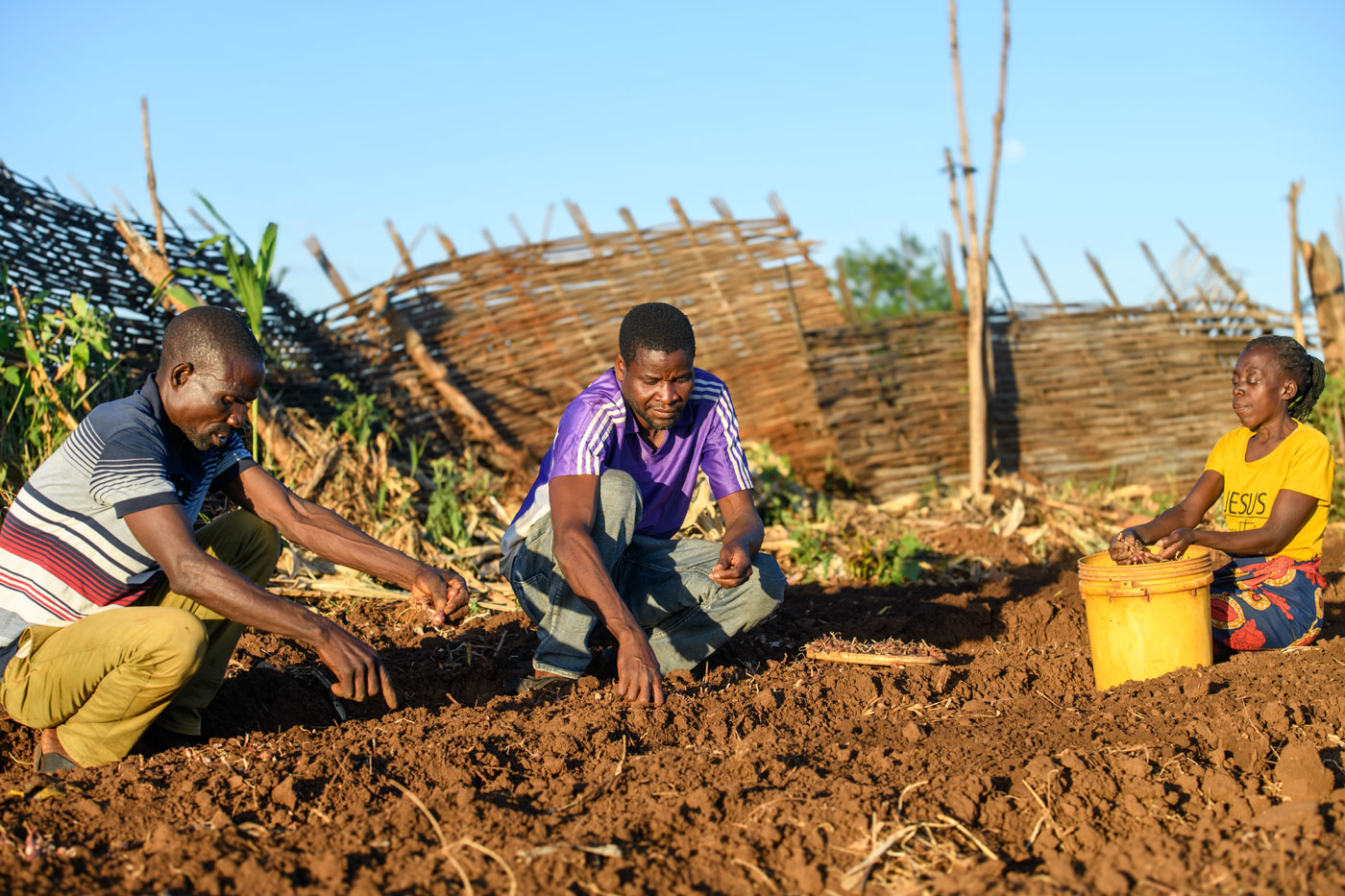 onion-farmers-zambia | Simavi