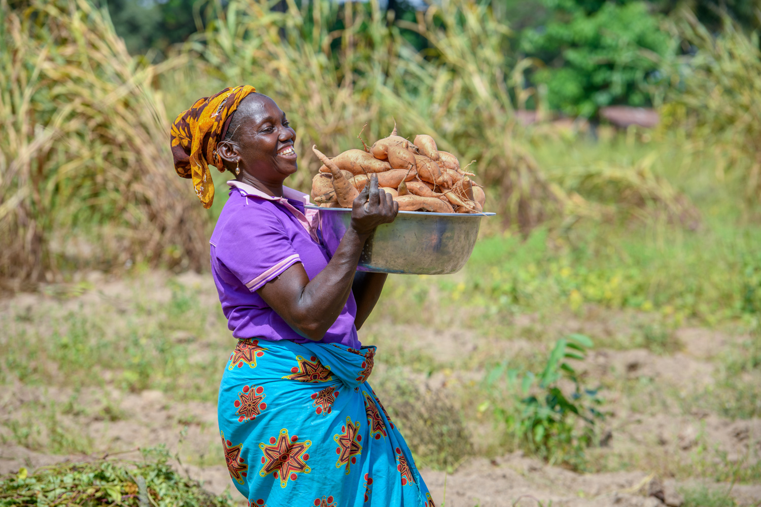 Malaika Media in Nigeira | Home